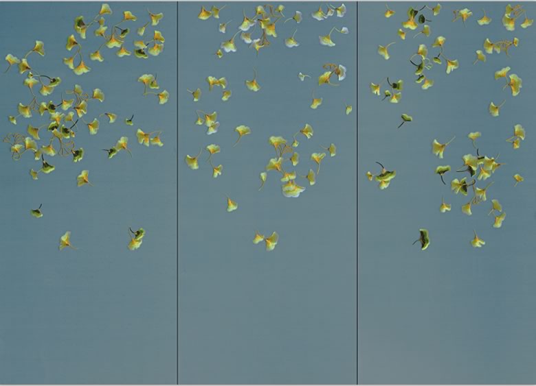 落叶满福.jpg 落叶满福.jpg