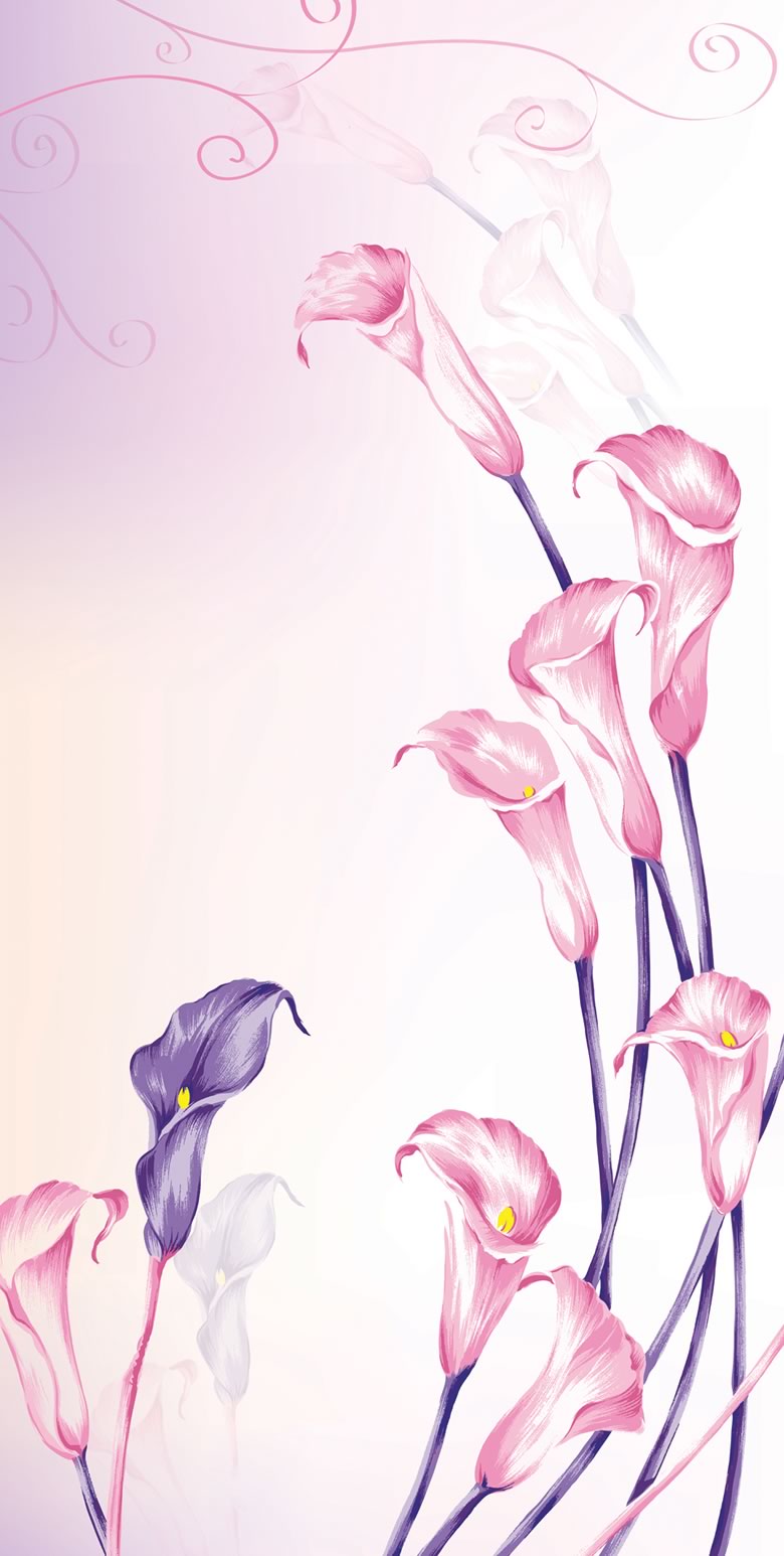 LA004马蹄莲1.2x2.4m.jpg